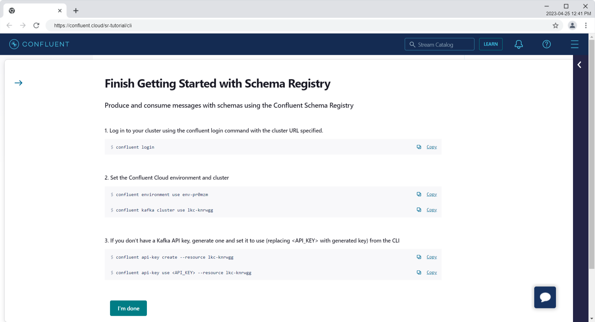 Finish Getting Started with Schema Registry